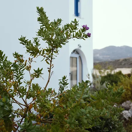 Anemes
